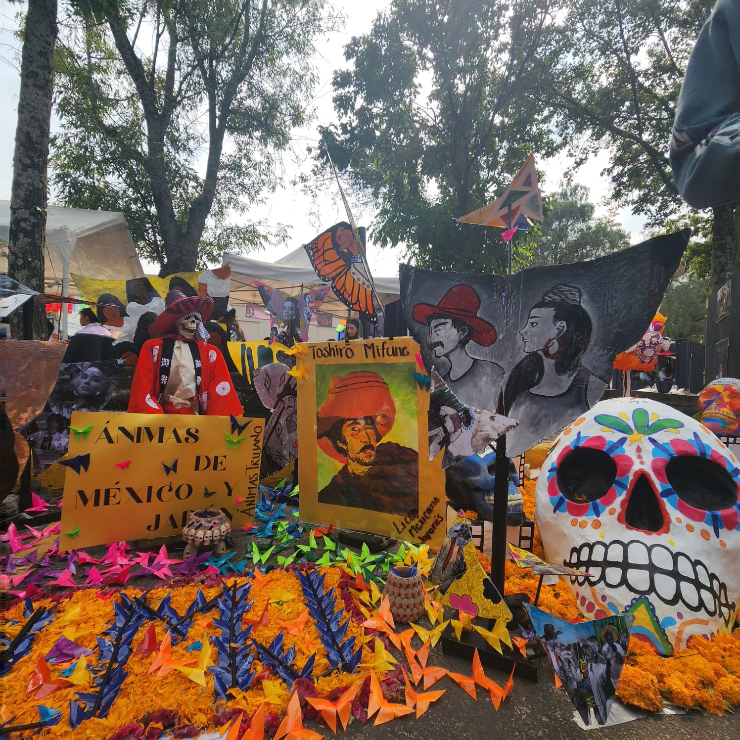 Liceo Mexicano Japonés